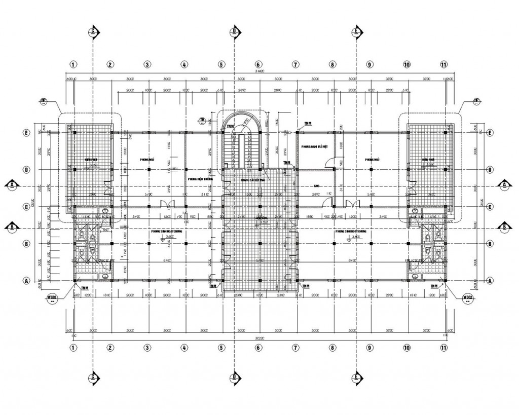 vp33